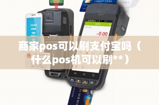 商家pos可以刷支付宝吗（什么pos机可以刷**）