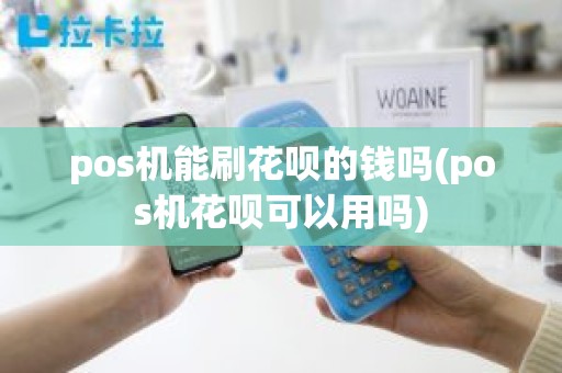 pos机能刷花呗的钱吗(pos机花呗可以用吗)