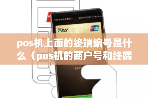 pos机上面的终端编号是什么（pos机的商户号和终端号是什么）