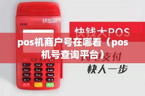 pos机商户号在哪看(pos机号查询平台) pos机商户号在哪看(pos机号查询平台)