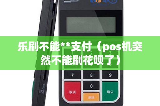 乐刷不能**支付（pos机突然不能刷花呗了）