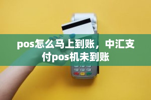 pos怎么马上到账，中汇支付pos机未到账