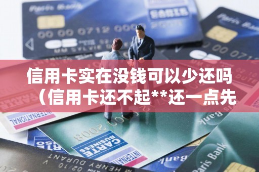 信用卡实在没钱可以少还吗（信用卡还不起**还一点先可以吗）