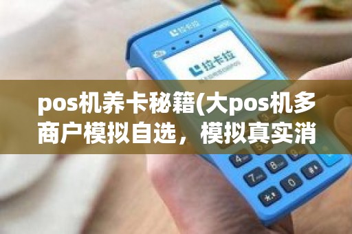 pos机养卡秘籍(大pos机多商户模拟自选，模拟真实消费养卡需要注意些什么)