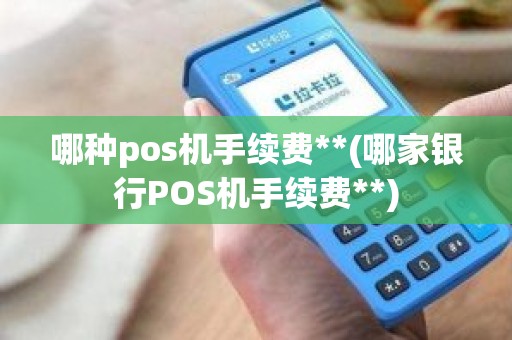 哪种pos机手续费**(哪家银行POS机手续费**)