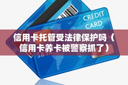 信用卡托管受法律保护吗（信用卡养卡被警察抓了）