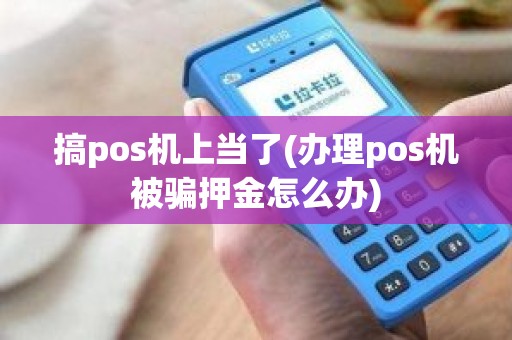 搞pos机上当了(办理pos机被骗押金怎么办)